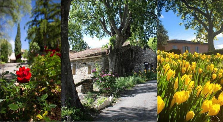 ホテルLe Hameau De L'Etoile Saint-Martin-de-Londres エクステリア 写真
